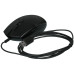Мышь проводная Logitech G102 LIGHTSYNC [910-005808] черный